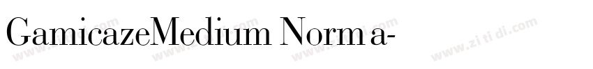GamicazeMedium Norma字体转换